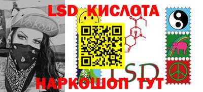 прущие грибы Кандалакша
