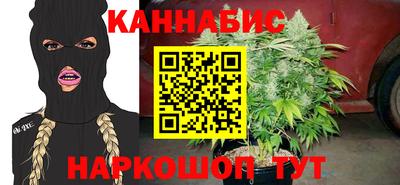 прущие грибы Кандалакша