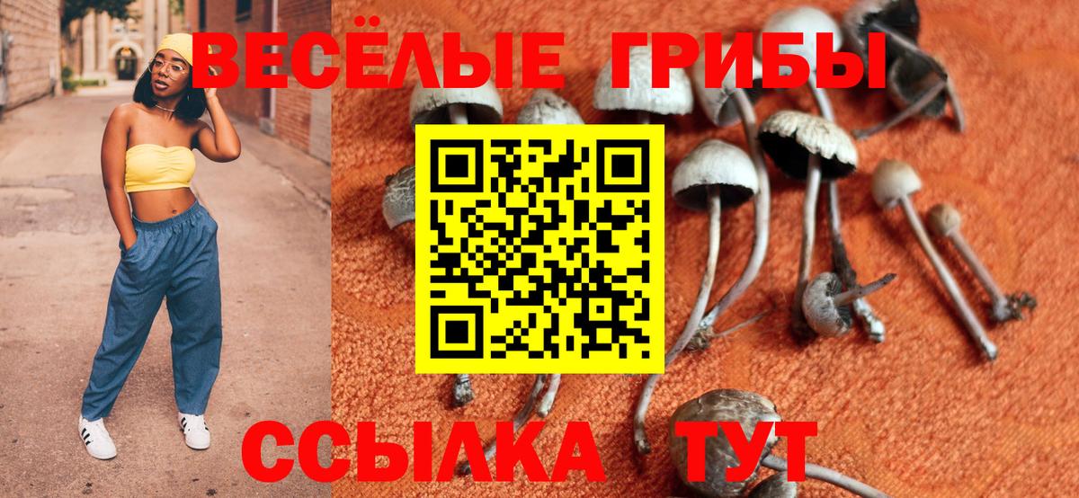 Краснознаменск  Галлюциногенные грибы GOLDEN TEACHER  Псилоцибиновые грибы мухоморы  Вход с VPN 
